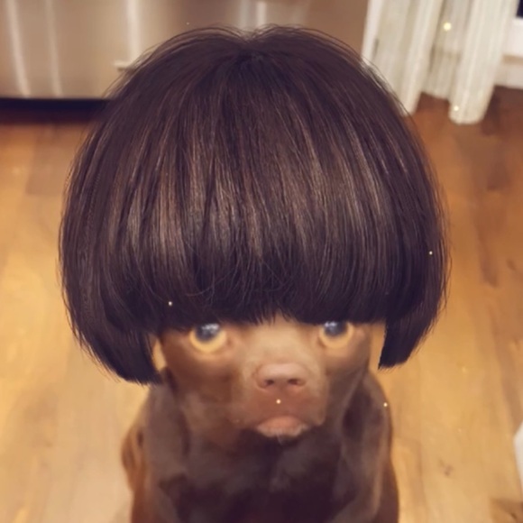 Welcome to my closet! - Picture 12 of 12